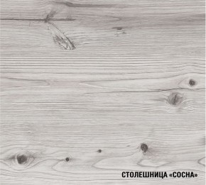 АСАЯ Кухонный гарнитур Экстра 2 (3000 мм) ПМ в Еманжелинске - emanzhelinsk.ok-mebel.com | фото 8