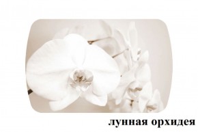 БОСТОН - 3 Стол раздвижной Лунная орхидея 1100/1420 опоры Триумф в Еманжелинске - emanzhelinsk.ok-mebel.com | фото 2