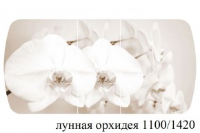БОСТОН - 3 Стол раздвижной Лунная орхидея 1100/1420 опоры Триумф в Еманжелинске - emanzhelinsk.ok-mebel.com | фото 3