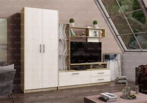 ДАРЬЯ Гостиная (Крафт серый/Крафт белый) в Еманжелинске - emanzhelinsk.ok-mebel.com | фото