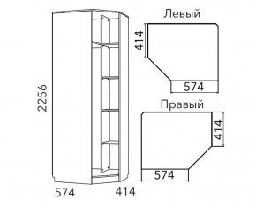 Детская Фанк Шкаф угловой Левый/Правый НМ 013.04-02 М в Еманжелинске - emanzhelinsk.ok-mebel.com | фото 3