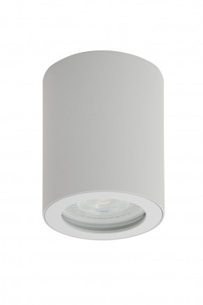 DK3007-WH Накладной светильник влагозащ., IP 44, 15 Вт, GU10, белый, алюминий в Еманжелинске - emanzhelinsk.ok-mebel.com | фото