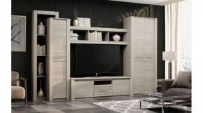 ЭЛИС Гостиная в Еманжелинске - emanzhelinsk.ok-mebel.com | фото 2
