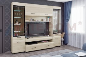 Гостиная Камелия Композиция 11 (Ясень Асахи) в Еманжелинске - emanzhelinsk.ok-mebel.com | фото