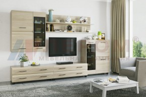 Гостиная Камелия Композиция 6 (Ясень Асахи) в Еманжелинске - emanzhelinsk.ok-mebel.com | фото