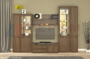 Гостиная Карина Композиция 24 (Акация Молдау) в Еманжелинске - emanzhelinsk.ok-mebel.com | фото