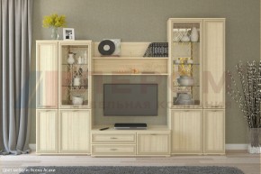 Гостиная Карина Композиция 24 (Ясень Асахи) в Еманжелинске - emanzhelinsk.ok-mebel.com | фото