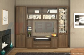 Гостиная Карина Композиция 9 (Акация Молдау) в Еманжелинске - emanzhelinsk.ok-mebel.com | фото