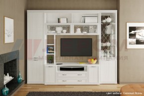 Гостиная Карина Композиция 9 (Снежный ясень) в Еманжелинске - emanzhelinsk.ok-mebel.com | фото