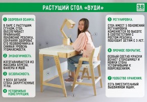 Комплект растущий стол и стул с чехлом 38 попугаев «Вуди» (Серый, Береза, Салют) в Еманжелинске - emanzhelinsk.ok-mebel.com | фото
