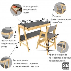 Комплект растущий стол и стул с чехлом 38 попугаев «Вуди» (Серый, Береза, Серый) в Еманжелинске - emanzhelinsk.ok-mebel.com | фото