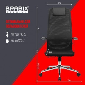 Кресло BRABIX PREMIUM "Ultimate EX-801" хром, плотная двойная сетка Х2, черное, 532917 в Еманжелинске - emanzhelinsk.ok-mebel.com | фото 7