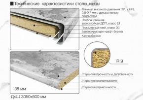 Кухонный фартук со столешницей (А-01) в едином стиле (3050 мм) в Еманжелинске - emanzhelinsk.ok-mebel.com | фото 6