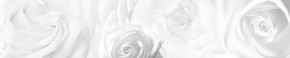 Кухонный фартук Цветы 217 МДФ матовый (3000) Flowers в Еманжелинске - emanzhelinsk.ok-mebel.com | фото