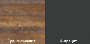 Кухонный гарнитур угловой Трансильвания 2600х1600 мм (Стол. 26 мм) в Еманжелинске - emanzhelinsk.ok-mebel.com | фото 3