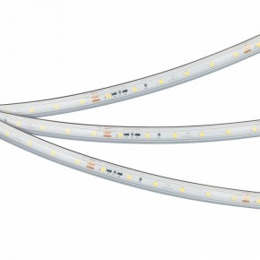 Лента светодиодная Arlight IC-PS-A60-10mm 24V 050656 в Еманжелинске - emanzhelinsk.ok-mebel.com | фото