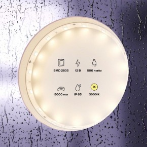 Лента светодиодная Maytoni Led strip 10105 в Еманжелинске - emanzhelinsk.ok-mebel.com | фото 2