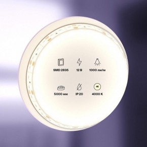 Лента светодиодная Maytoni Led strip 10109 в Еманжелинске - emanzhelinsk.ok-mebel.com | фото 2