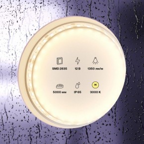 Лента светодиодная Maytoni Led strip 10117 в Еманжелинске - emanzhelinsk.ok-mebel.com | фото 2