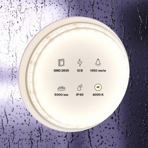 Лента светодиодная Maytoni Led strip 10118 в Еманжелинске - emanzhelinsk.ok-mebel.com | фото 2