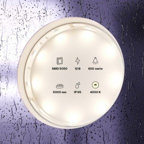 Лента светодиодная Maytoni Led strip 10124 в Еманжелинске - emanzhelinsk.ok-mebel.com | фото 2