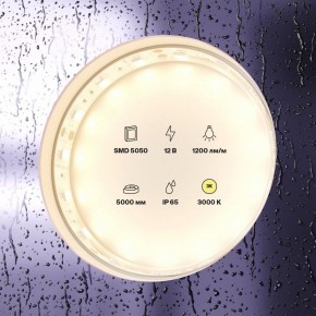 Лента светодиодная Maytoni Led strip 10131 в Еманжелинске - emanzhelinsk.ok-mebel.com | фото 3