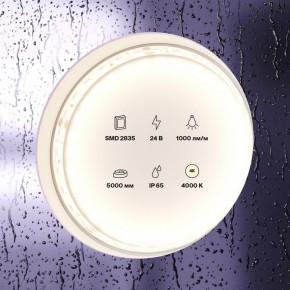 Лента светодиодная Maytoni Led strip 10146 в Еманжелинске - emanzhelinsk.ok-mebel.com | фото 3