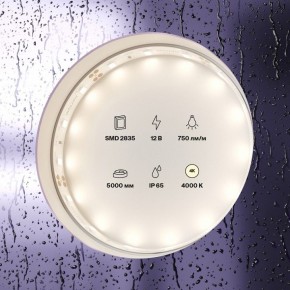 Лента светодиодная Maytoni Led strip 20005 в Еманжелинске - emanzhelinsk.ok-mebel.com | фото 2