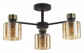 Люстра на штанге Lumion ARLIN 5643/3C в Еманжелинске - emanzhelinsk.ok-mebel.com | фото