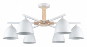 Люстра на штанге Lumion Colange 8095/6C в Еманжелинске - emanzhelinsk.ok-mebel.com | фото