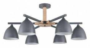 Люстра на штанге Lumion Colange 8096/6C в Еманжелинске - emanzhelinsk.ok-mebel.com | фото