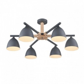 Люстра на штанге Lumion Colange 8096/6C в Еманжелинске - emanzhelinsk.ok-mebel.com | фото 3