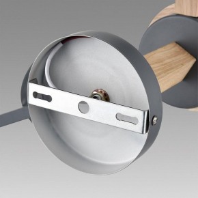 Люстра на штанге Lumion Colange 8096/6C в Еманжелинске - emanzhelinsk.ok-mebel.com | фото 6