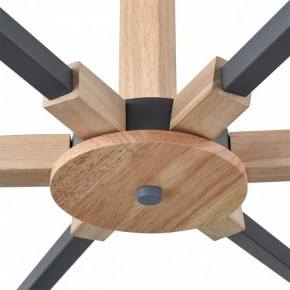Люстра на штанге Lumion Colange 8096/6C в Еманжелинске - emanzhelinsk.ok-mebel.com | фото 7