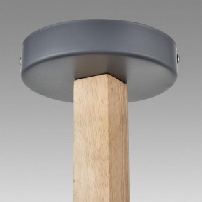 Люстра на штанге Lumion Colange 8096/6C в Еманжелинске - emanzhelinsk.ok-mebel.com | фото 9