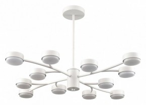 Люстра на штанге Lumion TORINA 8265/12 в Еманжелинске - emanzhelinsk.ok-mebel.com | фото
