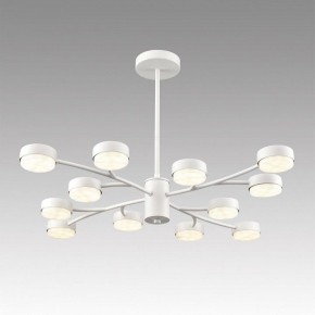 Люстра на штанге Lumion TORINA 8265/12 в Еманжелинске - emanzhelinsk.ok-mebel.com | фото 3
