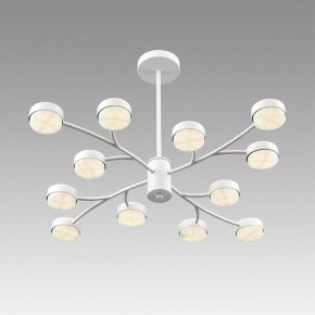 Люстра на штанге Lumion TORINA 8265/12 в Еманжелинске - emanzhelinsk.ok-mebel.com | фото 5