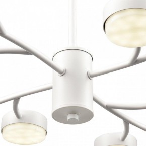 Люстра на штанге Lumion TORINA 8265/12 в Еманжелинске - emanzhelinsk.ok-mebel.com | фото 8