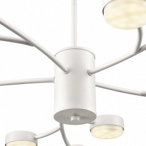 Люстра на штанге Lumion TORINA 8265/15 в Еманжелинске - emanzhelinsk.ok-mebel.com | фото 8