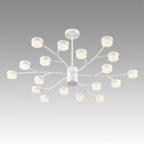 Люстра на штанге Lumion TORINA 8265/18 в Еманжелинске - emanzhelinsk.ok-mebel.com | фото 5