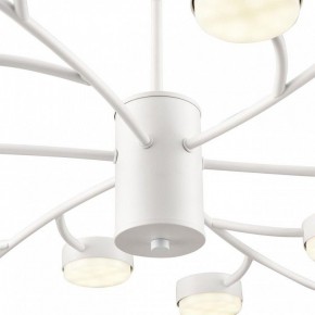 Люстра на штанге Lumion TORINA 8265/18 в Еманжелинске - emanzhelinsk.ok-mebel.com | фото 8