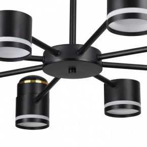 Люстра на штанге Lumion Virsava 8234/8C в Еманжелинске - emanzhelinsk.ok-mebel.com | фото 10