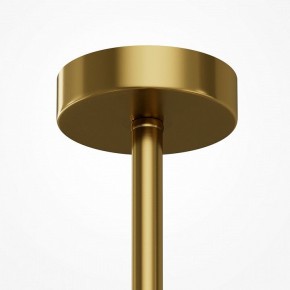 Люстра на штанге Maytoni Museo MOD436PL-05BS в Еманжелинске - emanzhelinsk.ok-mebel.com | фото 6