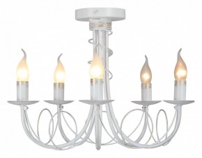 Люстра на штанге Vitaluce V3035 V3035-0/5PL в Еманжелинске - emanzhelinsk.ok-mebel.com | фото 2