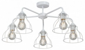 Люстра на штанге Vitaluce V3102 V3102-0/5PL в Еманжелинске - emanzhelinsk.ok-mebel.com | фото