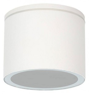 Накладной светильник Arte Lamp Piautos A1913PF-1WH в Еманжелинске - emanzhelinsk.ok-mebel.com | фото