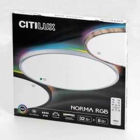 Накладной светильник Citilux NORMA CL749400 в Еманжелинске - emanzhelinsk.ok-mebel.com | фото 15