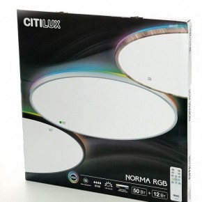 Накладной светильник Citilux NORMA CL749600 в Еманжелинске - emanzhelinsk.ok-mebel.com | фото 8