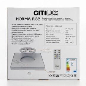 Накладной светильник Citilux Norma CL749K301 в Еманжелинске - emanzhelinsk.ok-mebel.com | фото 10